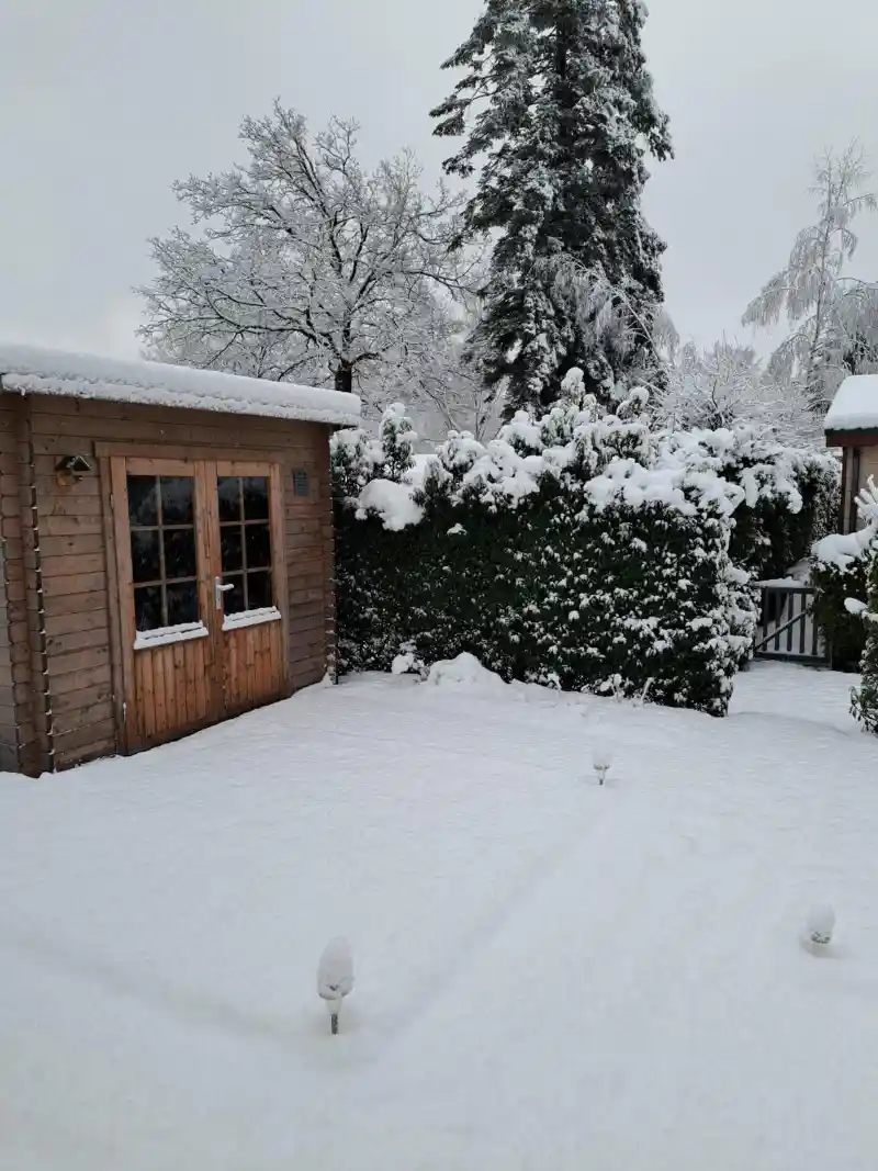 Chalet de Bosuil tuinhuisje sneeuw