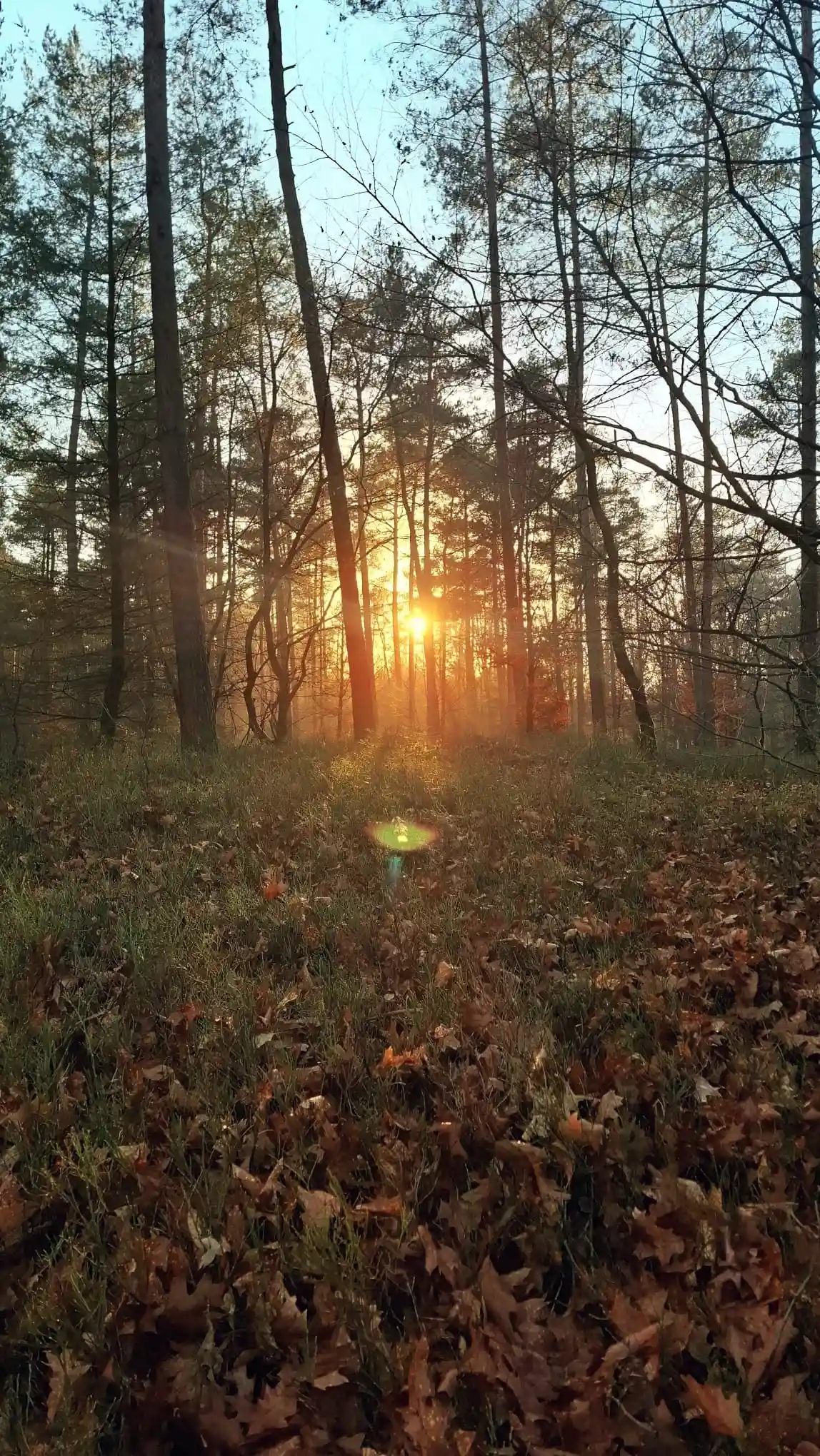Zonsondergang Lierderholt